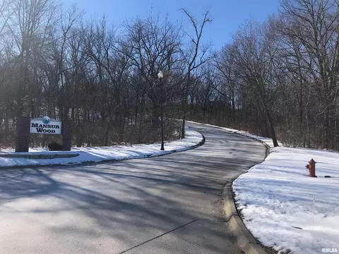 801 Rebecca Pl, Carbon Cliff, IL 61239