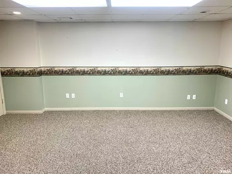 919 3rd Ave, Fulton, IL 61252 photo 18
