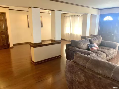 919 3rd Ave, Fulton, IL 61252 photo 5