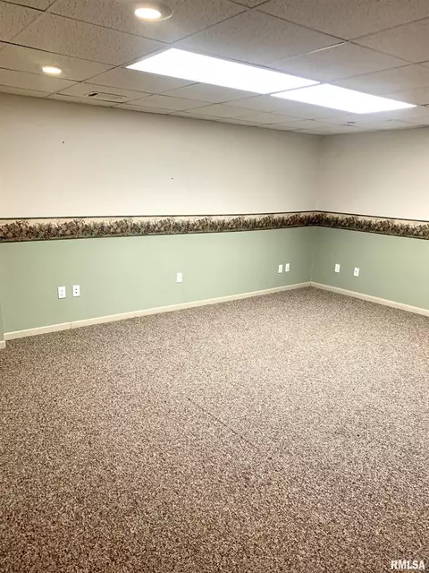 919 3rd Ave, Fulton, IL 61252 photo 16