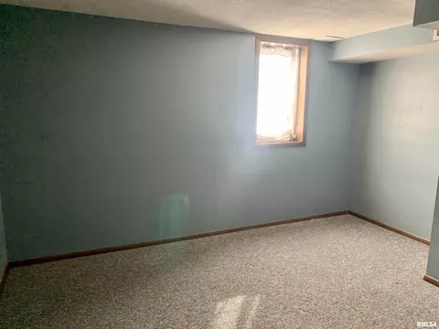 919 3rd Ave, Fulton, IL 61252 photo 17