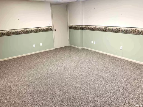 919 3rd Ave, Fulton, IL 61252 photo 19