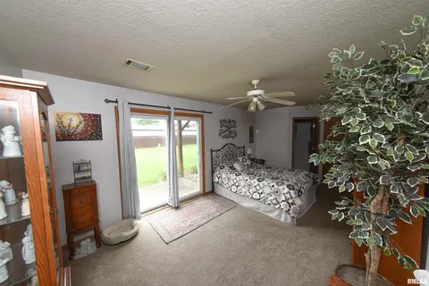3010 3rd St, Moline, IL 61265 photo 15
