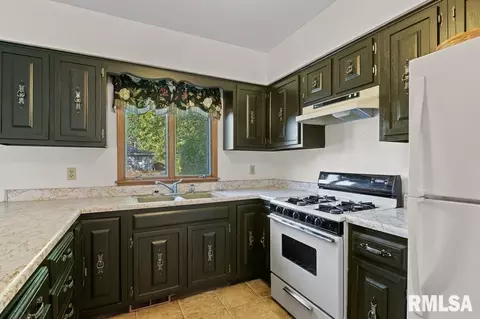 234 S State Ave, Hampton, IL 61256 photo 7