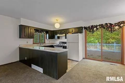 234 S State Ave, Hampton, IL 61256 photo 6