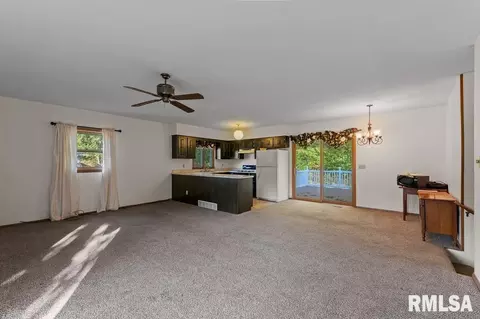 234 S State Ave, Hampton, IL 61256 photo 8