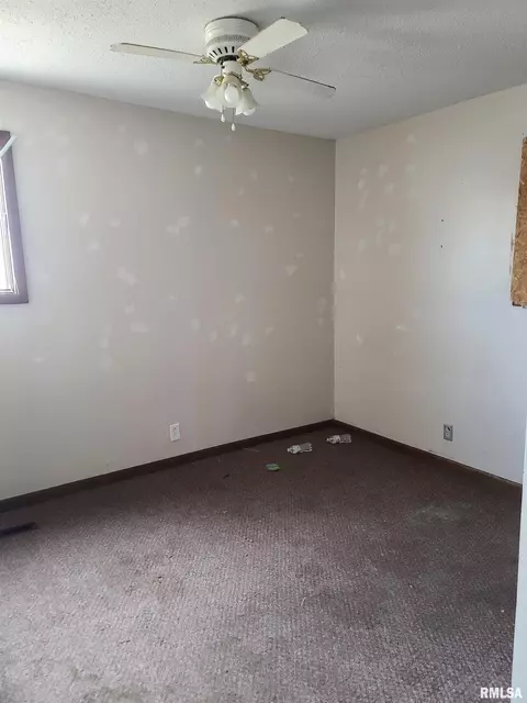 1003 15th Ave, Fulton, IL 61252 photo 3
