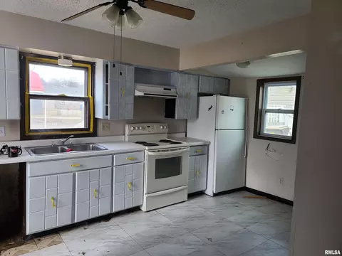 1003 15th Ave, Fulton, IL 61252 photo 2