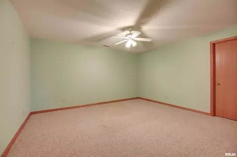 114 5th St, Fulton, IL 61252 photo 17