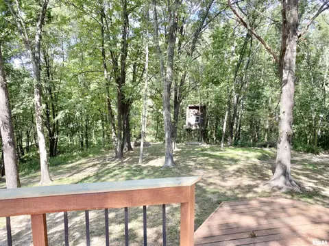 5741 Cedar Rdg, Springfield, IL 62707 photo 30