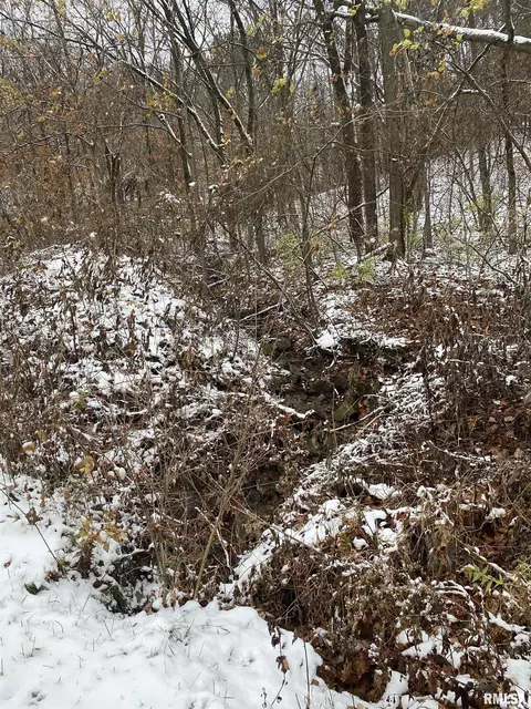 Lot 4 79th Avenue West, Andalusia, IL 61232