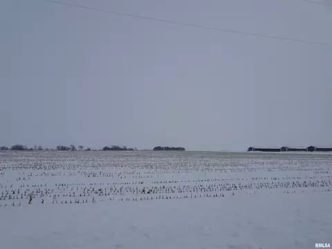 None E 1650th Street, Geneseo, IL 61254