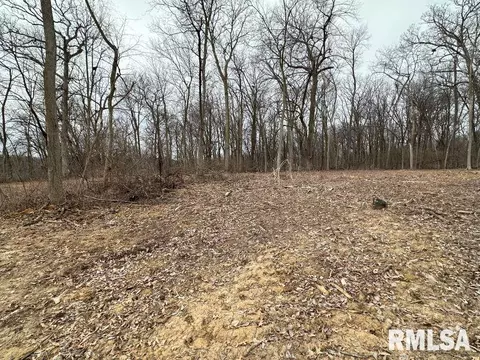 Lot 3 225th Street, Dewitt, IA 52742