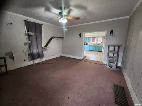 1113 1st St, Eldorado, IL 62930 photo 13