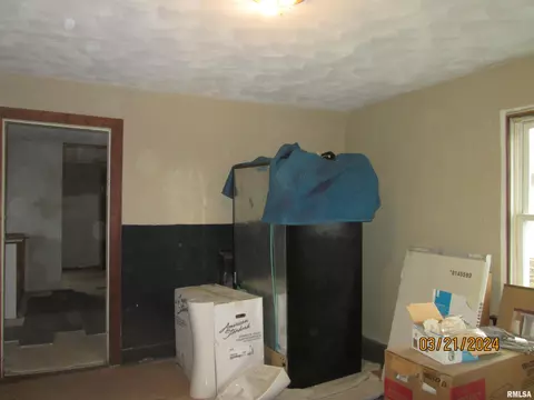 336 E Ogden Ave, Geneseo, IL 61254 photo 9