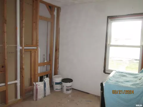 336 E Ogden Ave, Geneseo, IL 61254 photo 10
