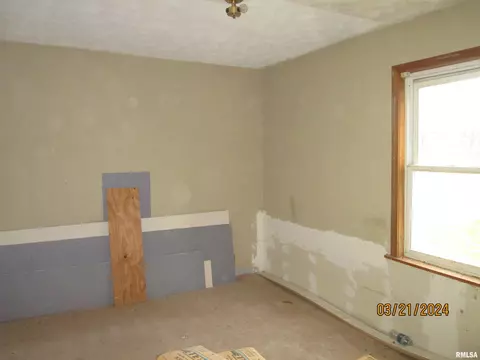 336 E Ogden Ave, Geneseo, IL 61254 photo 13