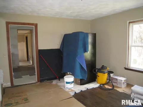 336 E Ogden Ave, Geneseo, IL 61254 photo 8