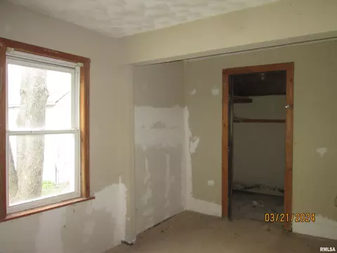 336 E Ogden Ave, Geneseo, IL 61254 photo 11