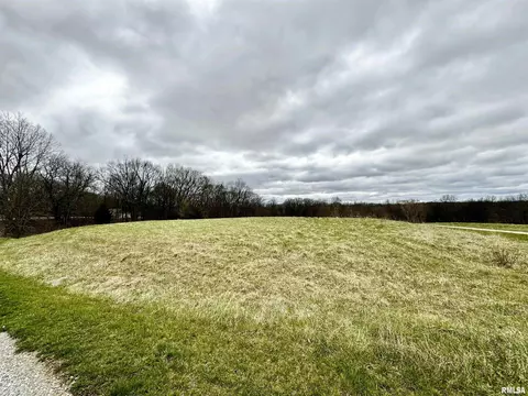 Lot 20 58th Street, New Boston, IL 61272