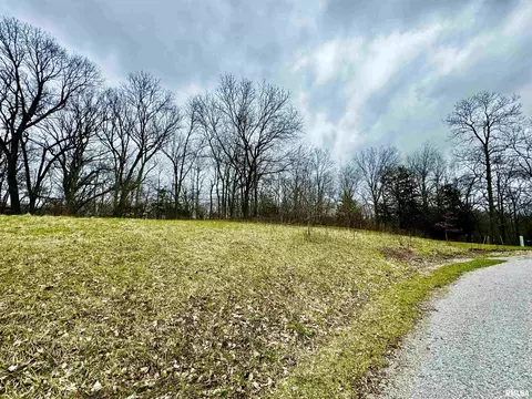 Lot 22 58th Street, New Boston, IL 61272