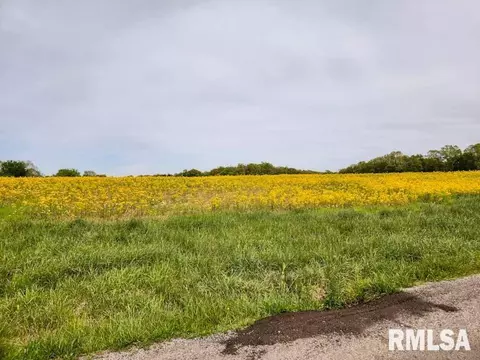 Route 166 Road, Creal Springs, IL 62922