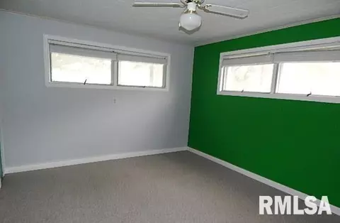 9233 Riverside Dr, Thomson, IL 61285 photo 4