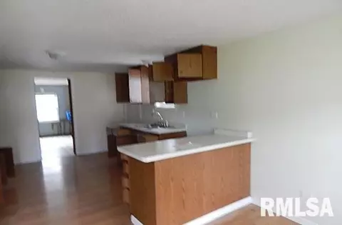 9233 Riverside Dr, Thomson, IL 61285 photo 3