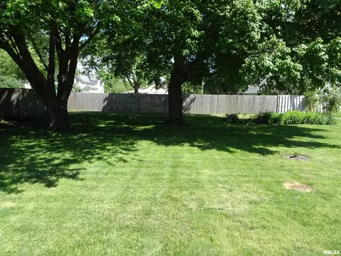 302 W Williams St, Atkinson, IL 61235 photo 14