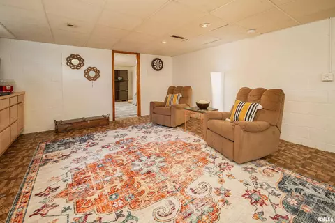 405 E Park St, Geneseo, IL 61254 photo 31