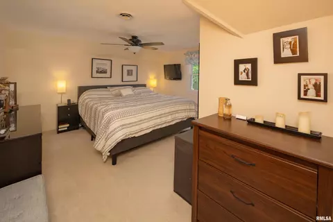 405 E Park St, Geneseo, IL 61254 photo 24