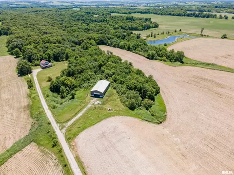 2171 Ridge Rd, Reynolds, IL 61279