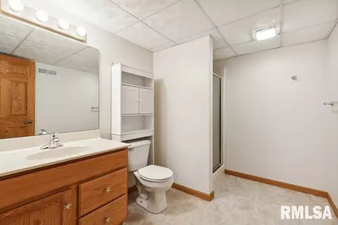 901 Valley View Dr, Fulton, IL 61252 photo 43