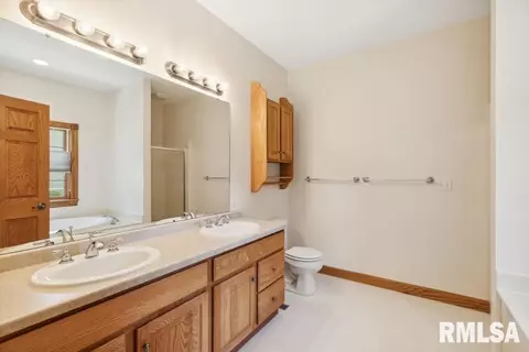 901 Valley View Dr, Fulton, IL 61252 photo 29