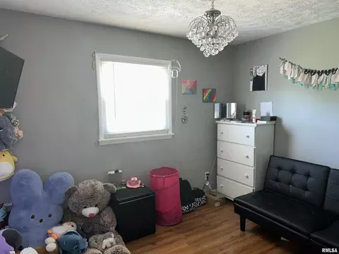 509 Berry St, Freeman Spur, IL 62841 photo 27