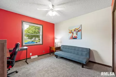1008 7th St, Hampton, IL 61256 photo 26