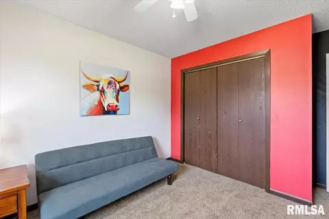 1008 7th St, Hampton, IL 61256 photo 27