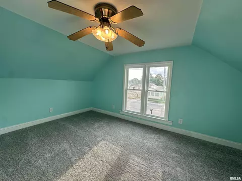 313 N 1st St, Alpha, IL 61413 photo 11