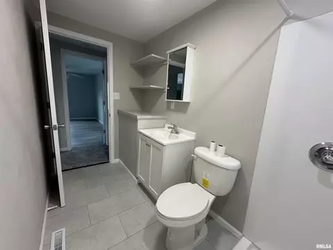 313 N 1st St, Alpha, IL 61413 photo 5