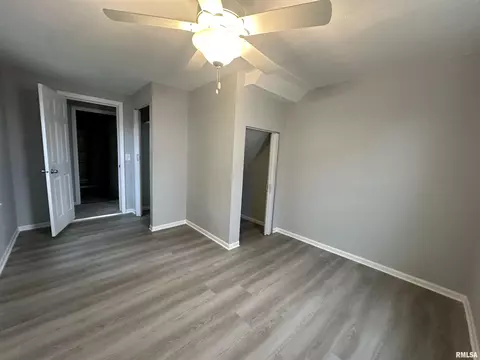 313 N 1st St, Alpha, IL 61413 photo 9