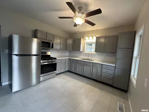 313 N 1st St, Alpha, IL 61413 photo 2