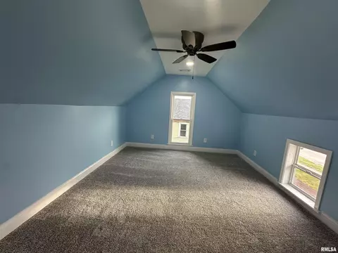 313 N 1st St, Alpha, IL 61413 photo 12
