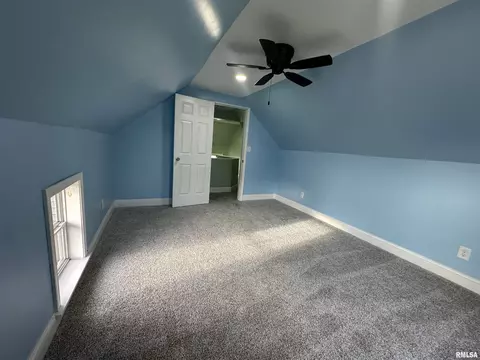 313 N 1st St, Alpha, IL 61413 photo 13