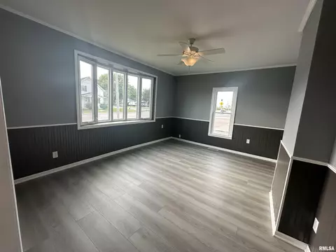 313 N 1st St, Alpha, IL 61413 photo 4