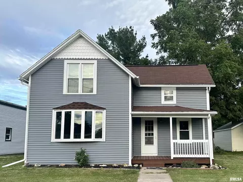 313 N 1st St, Alpha, IL 61413 photo 1