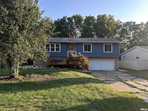 71 Sunny Hill Dr, Orion, IL 61273