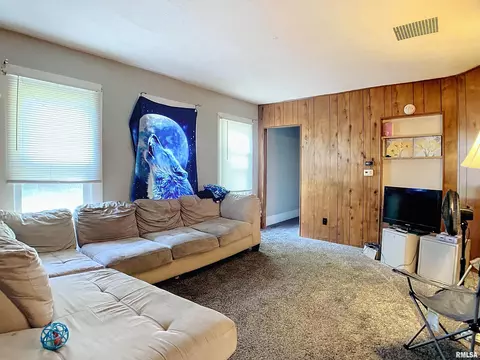 610 2nd Ave, Hampton, IL 61256 photo 3