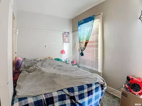 610 2nd Ave, Hampton, IL 61256 photo 10