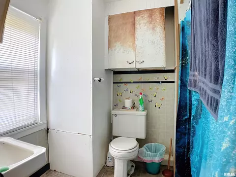 610 2nd Ave, Hampton, IL 61256 photo 8