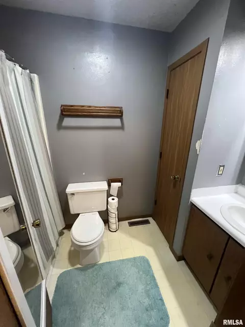 108 W Maple Dr, Lone Tree, IA 52755 photo 11